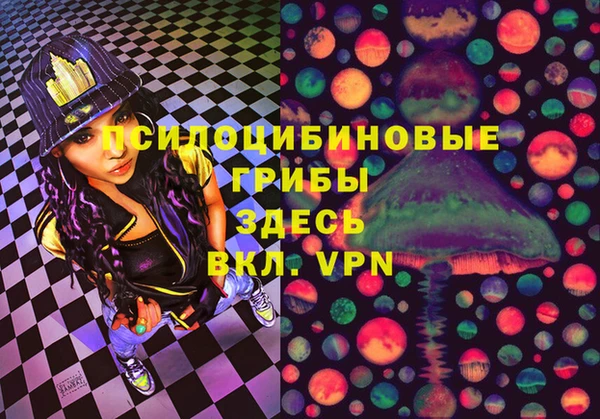 мет Ладушкин