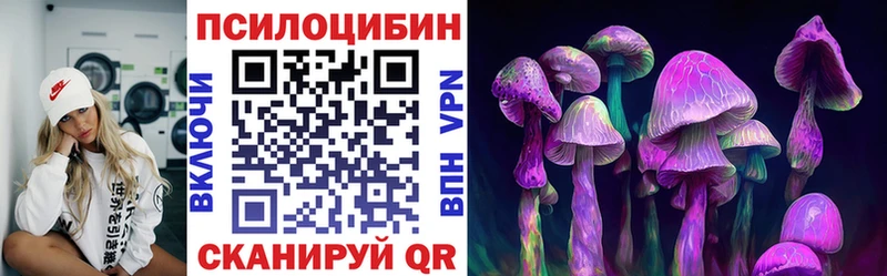 Купить  Могоча  Псилоцибиновые грибы Psilocybine cubensis 